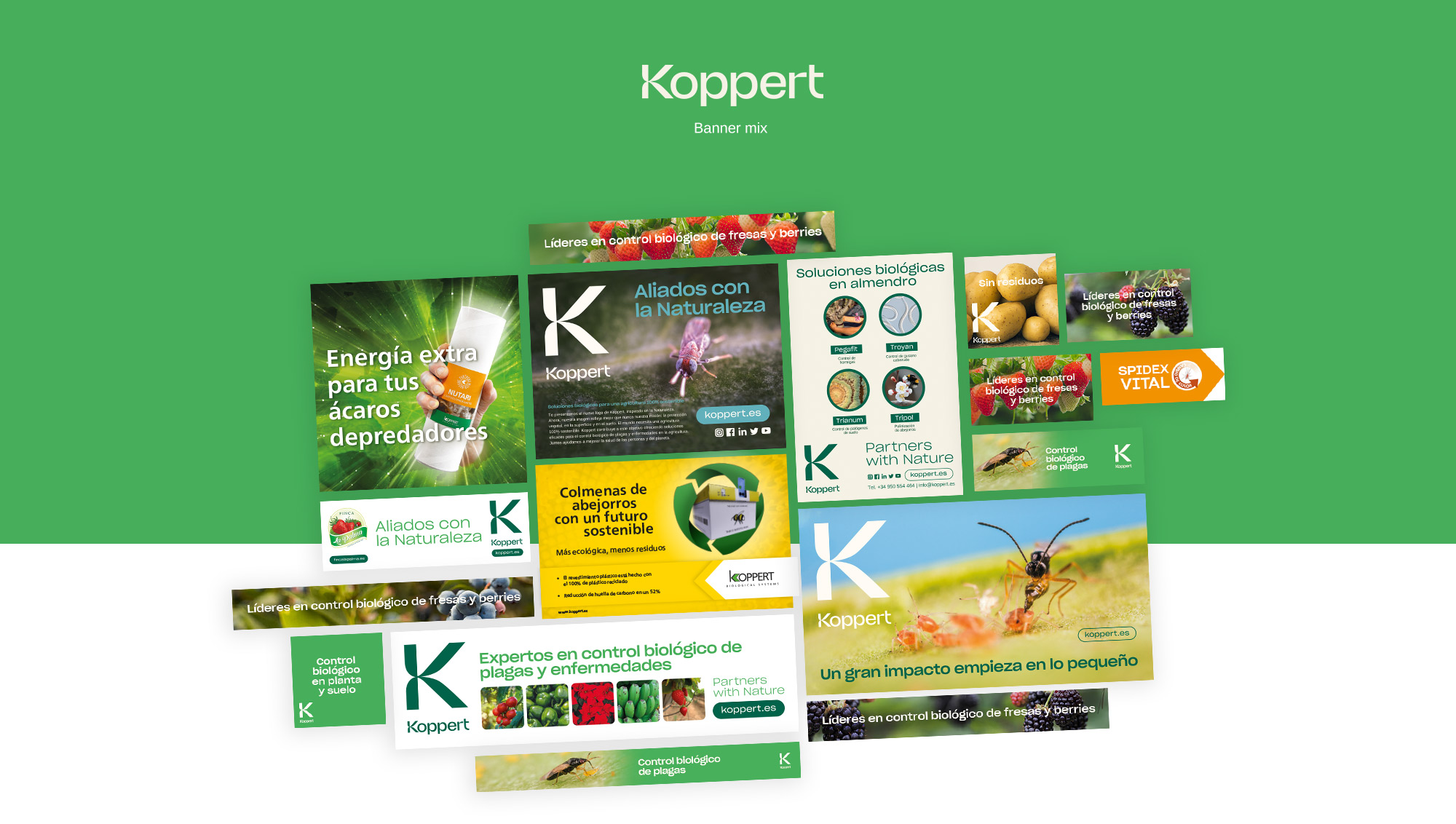 Koppert 1 - Fama Publicidad