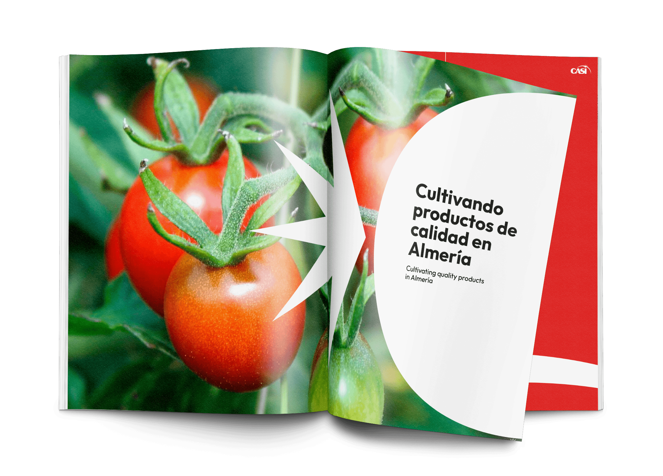 casi-catalogo-01