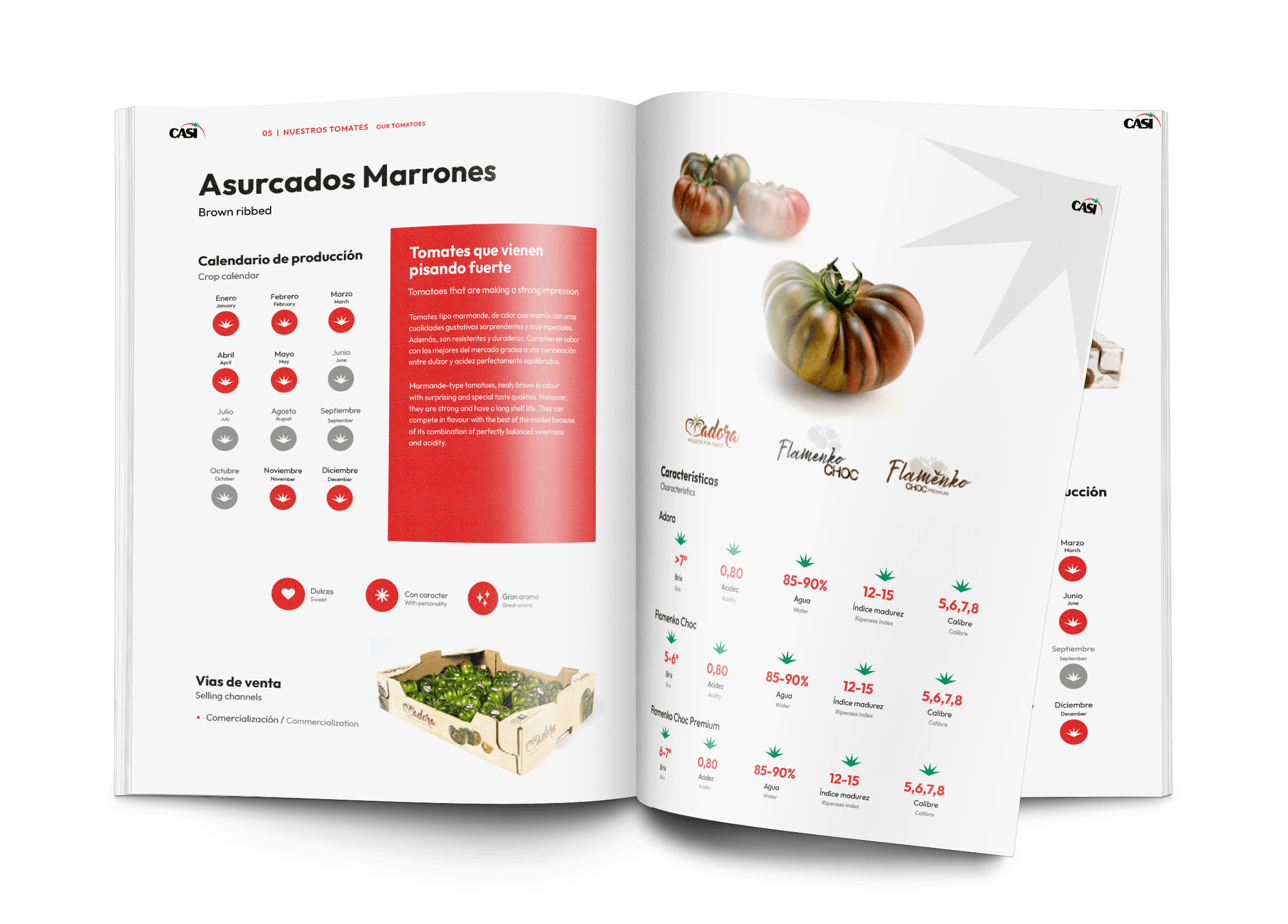 casi-catalogo-04