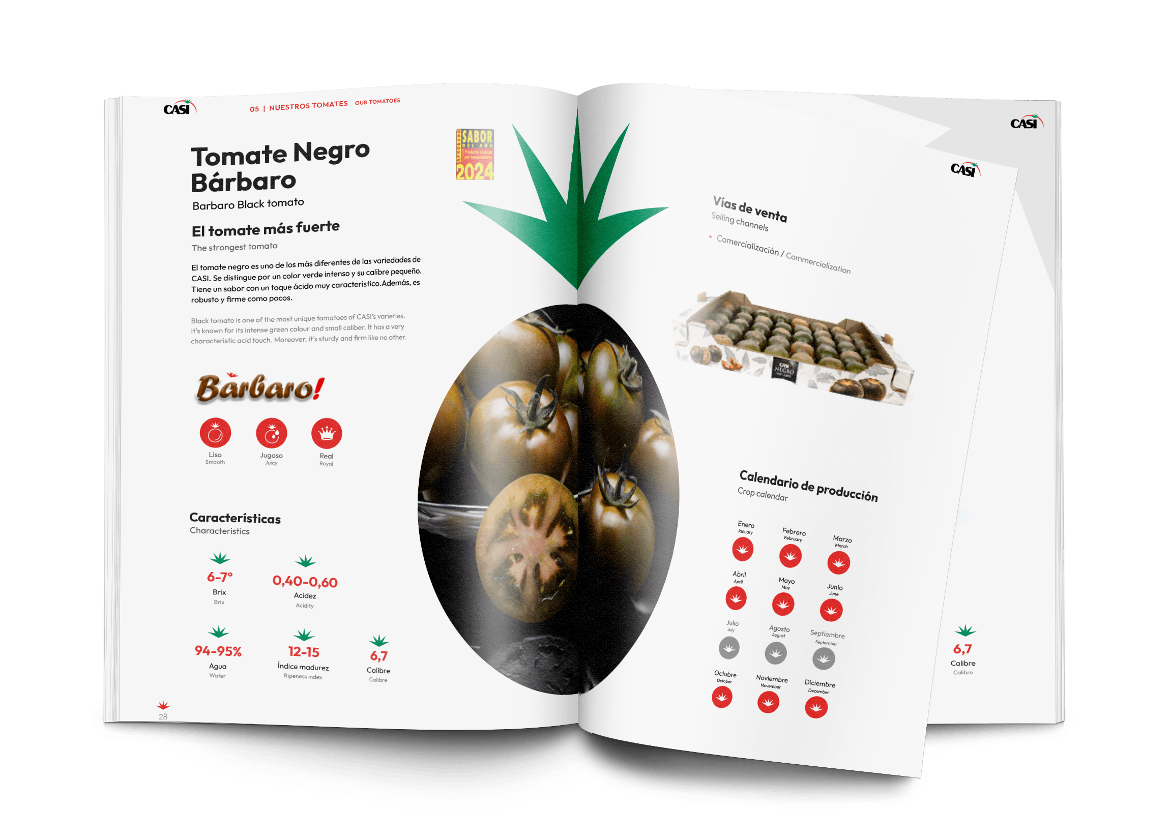 casi-catalogo-05